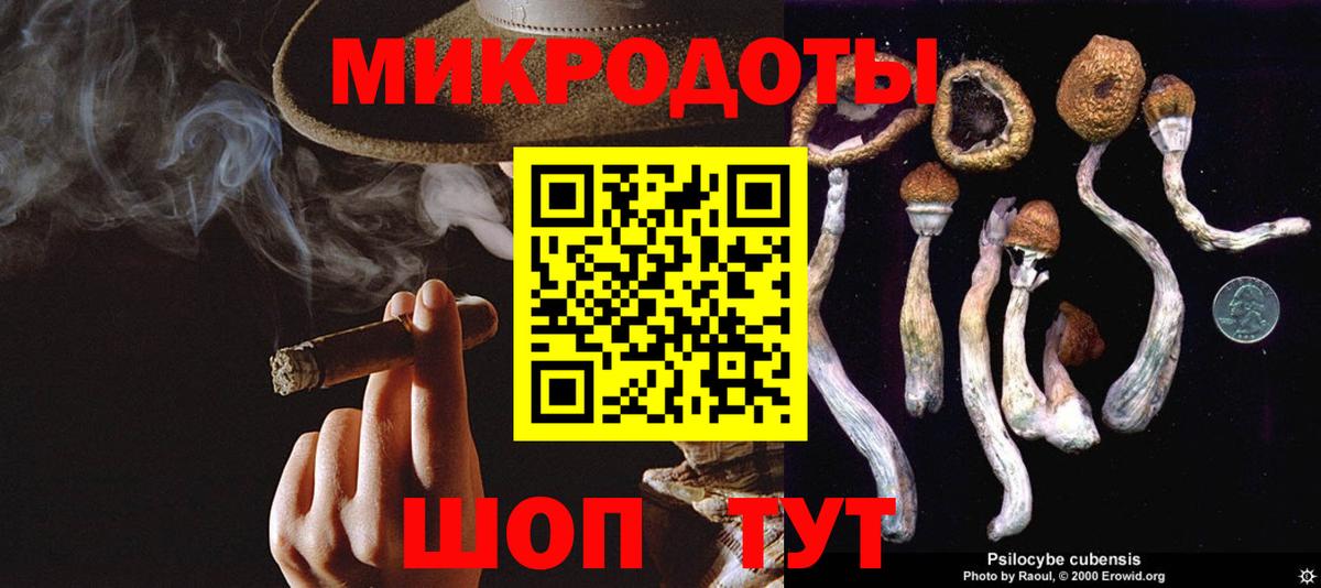 Галлюциногенные грибы прущие грибы  Вход с VPN  Медногорск 