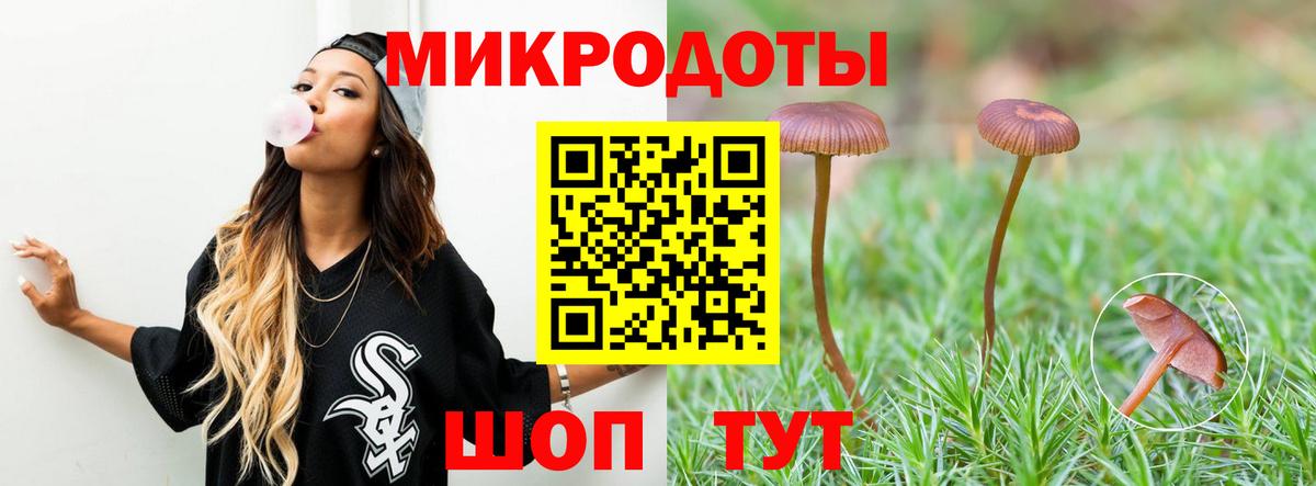 Галлюциногенные грибы мухоморы Медногорск